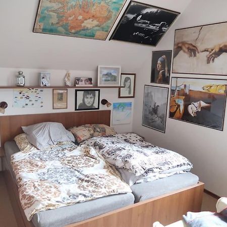 Byt 4+kk v klidné části obce Bedřichov Esterno foto
