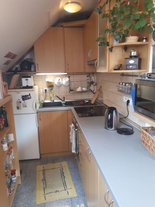 Byt 4+kk v klidné části obce Bedřichov Esterno foto